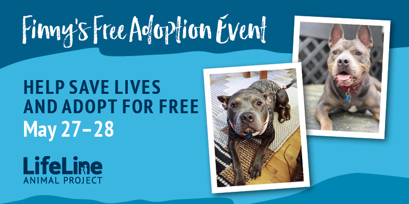 Finny's free adoption event promo with two dogs present. Help save lives and adopt for free May 27-28.