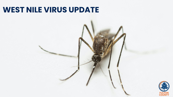 Mosquito West Nile Virus Graphic