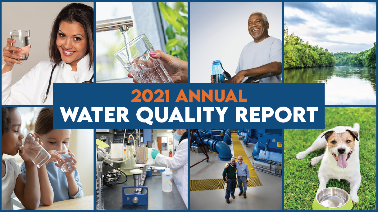 Fulton County Web Graphic featuring a collage of photos including people and pets drinking water, a lake, and running tap water. There is the bold text 2021 Annual Water Quality Report" centered in front of the collaged images