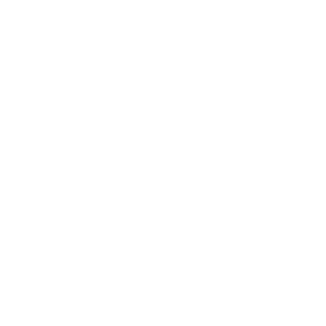 news icon white
