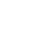 white icon representing executive team