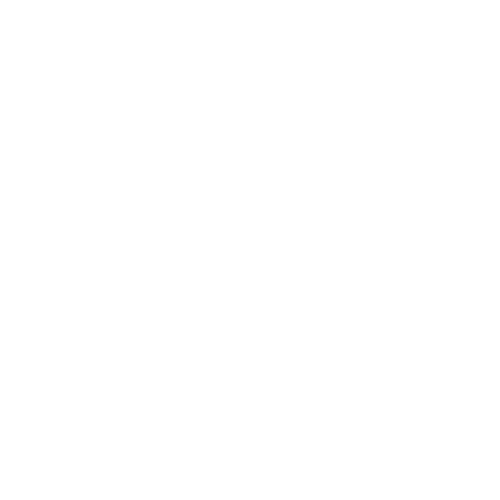 white veterans badge