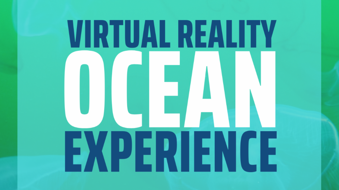 a photo of virtual reality ocean experience